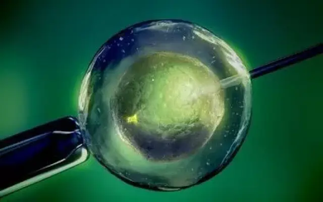 三代供卵试管选性别包生男孩
